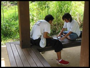 camp counselors playing cards