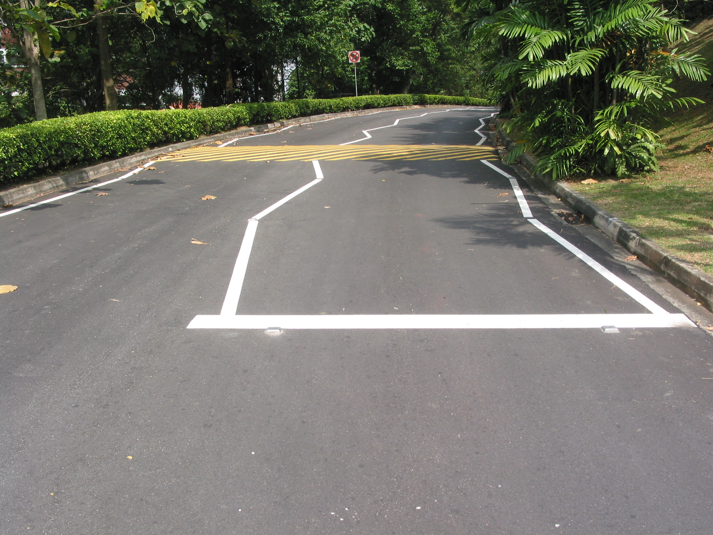 squiggly road lines