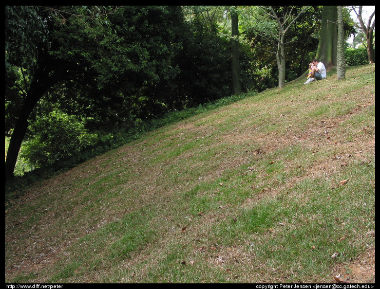 Jacob on the hill