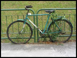 bicycles really evolved from plants