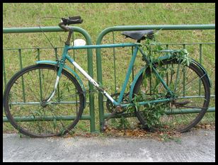 bicycles really evolved from plants