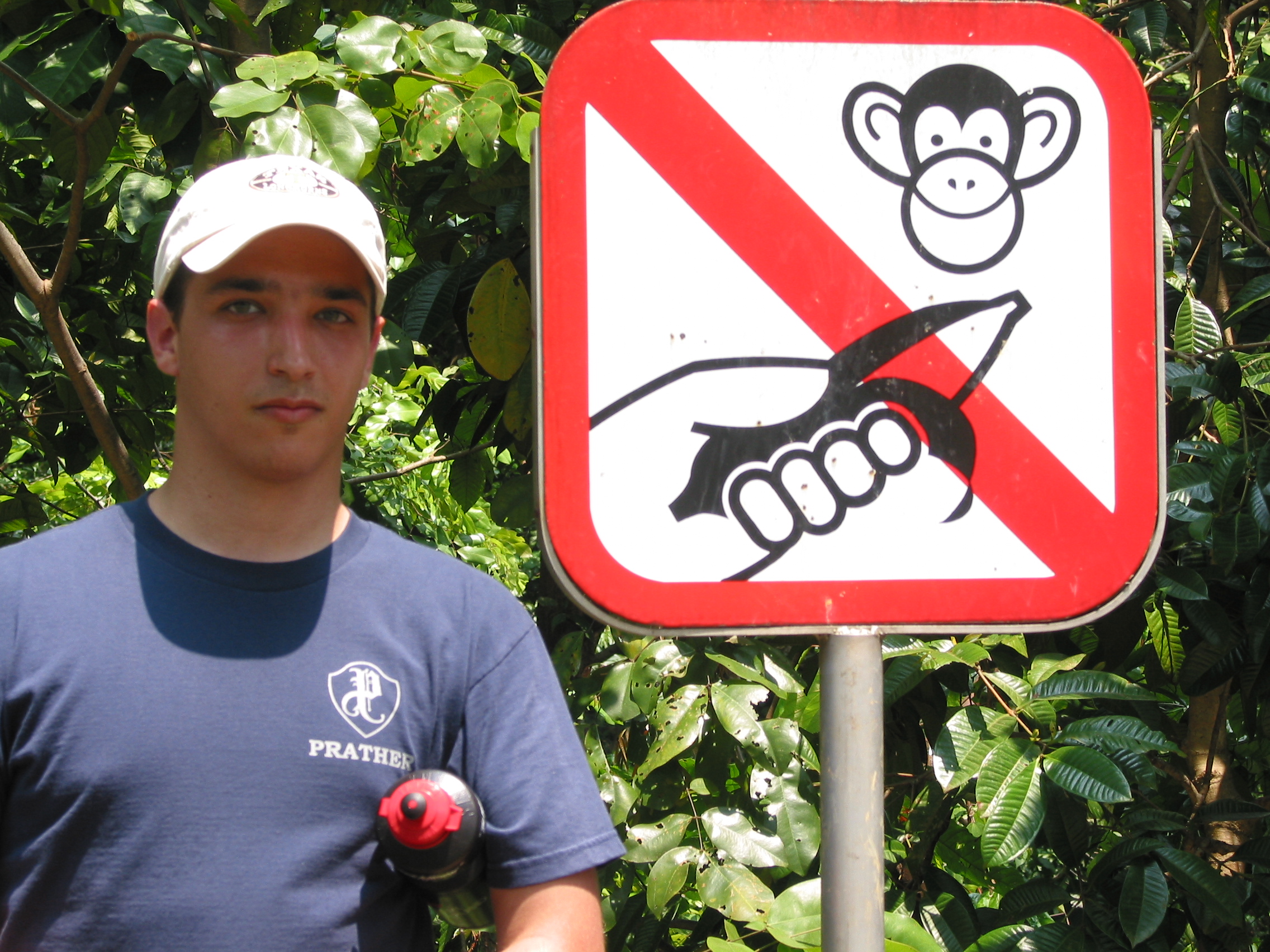 don't feed the monkeys