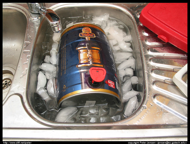 Tiger mini-keg on ice