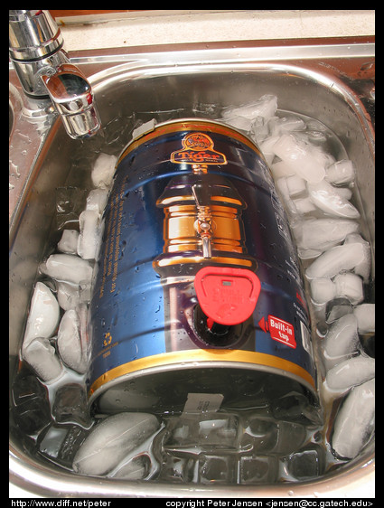 Tiger mini-keg on ice