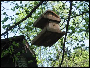 birdhouse