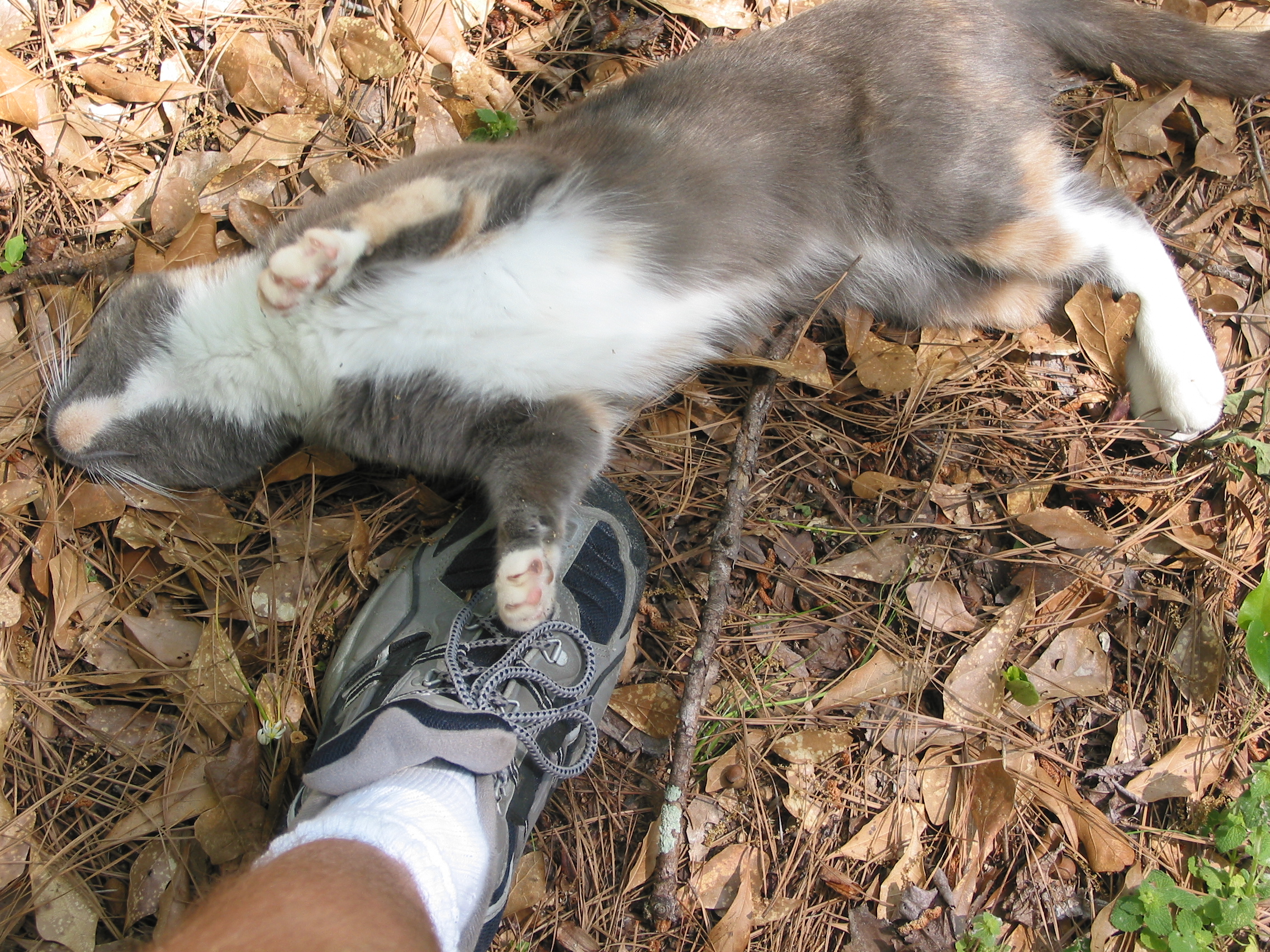 stretching