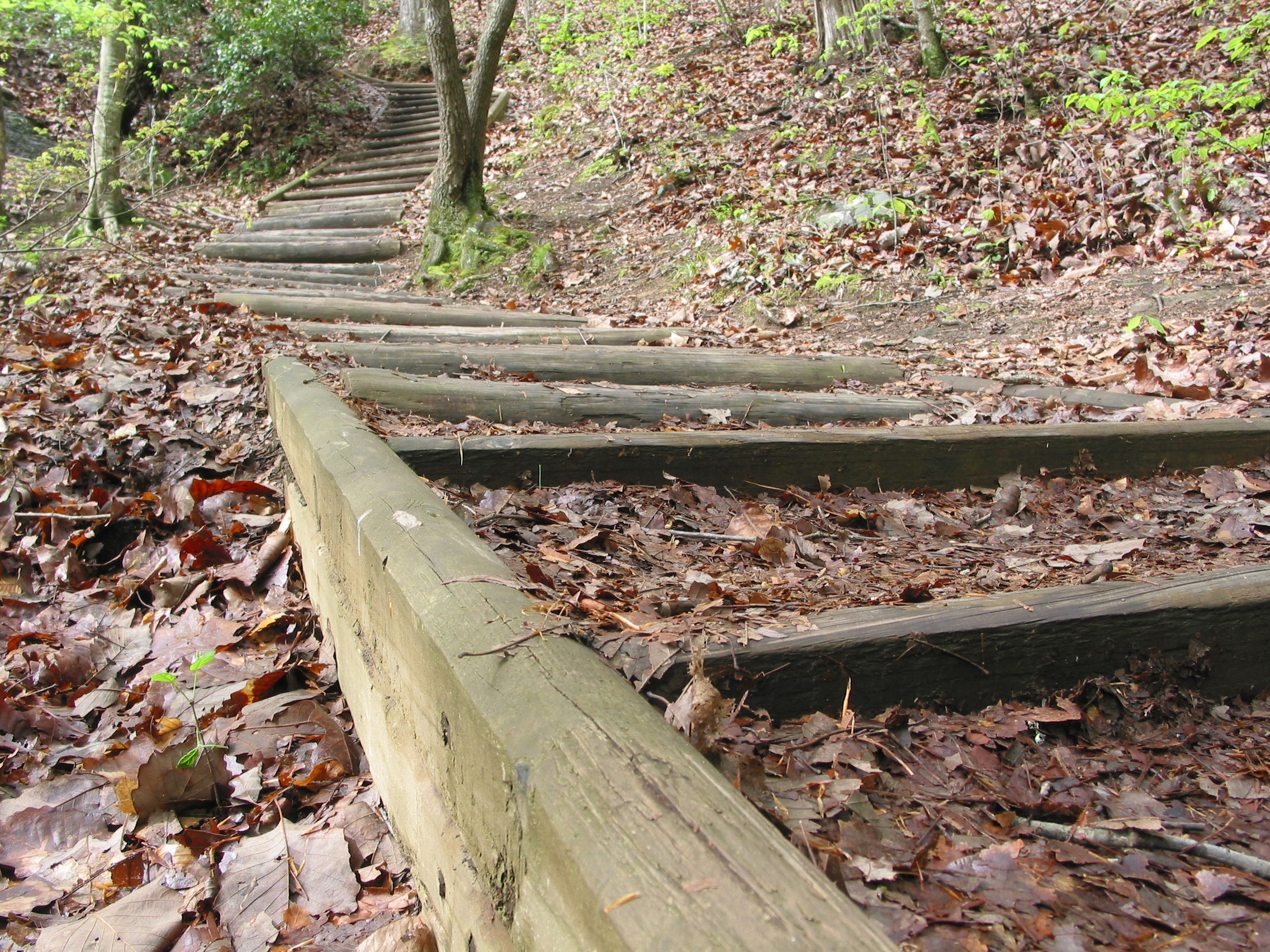 staircase