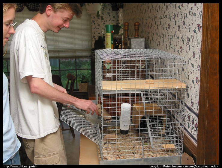 Amy and Alex, after Alex provoked the chinchilla