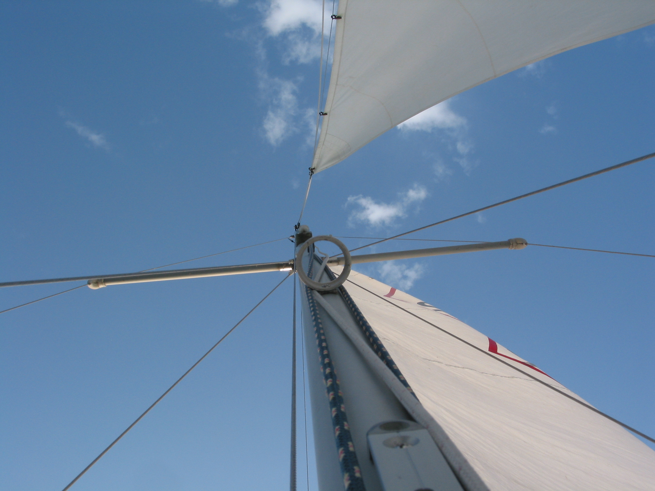 up the mast (with spinnaker pole holder)