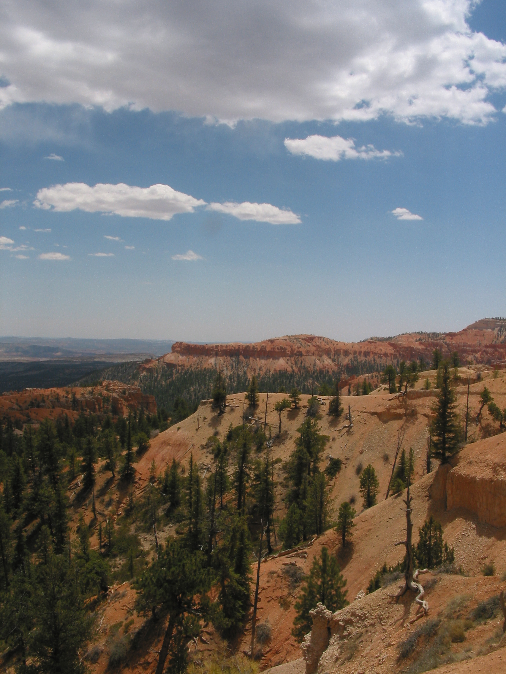 view from Bryce