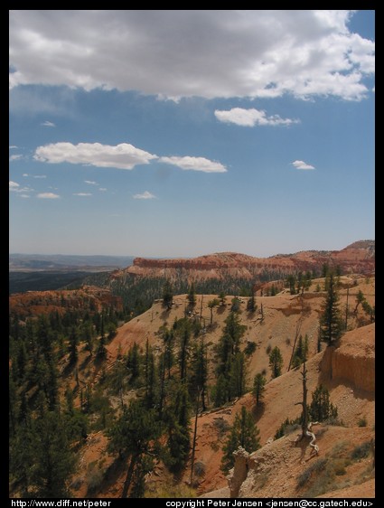 view from Bryce