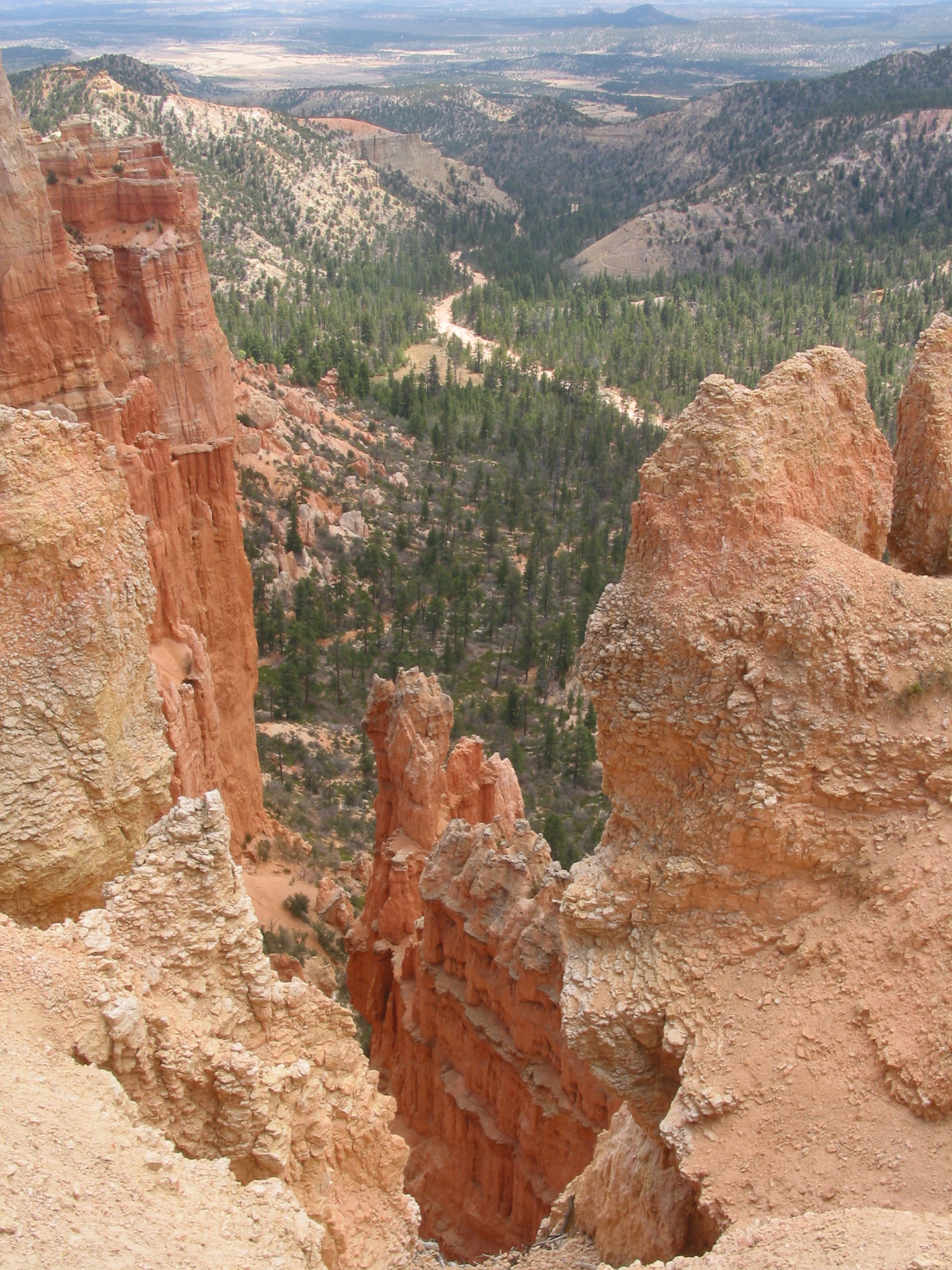 looking down into Bryce Canyon