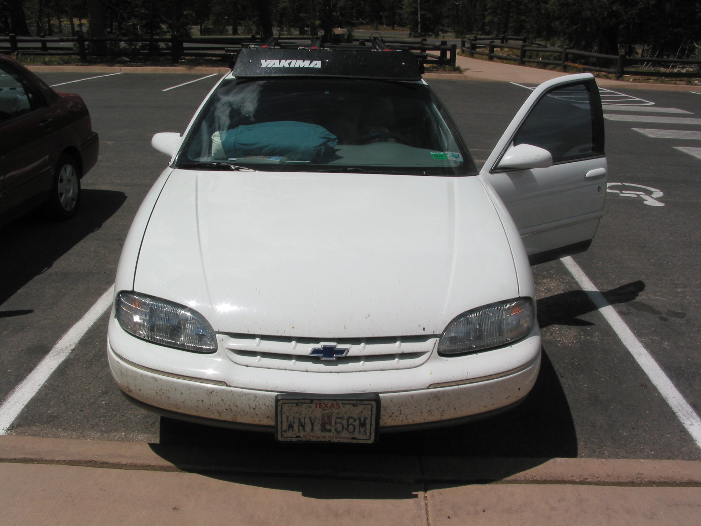 note the bugs down on the grill and license plate