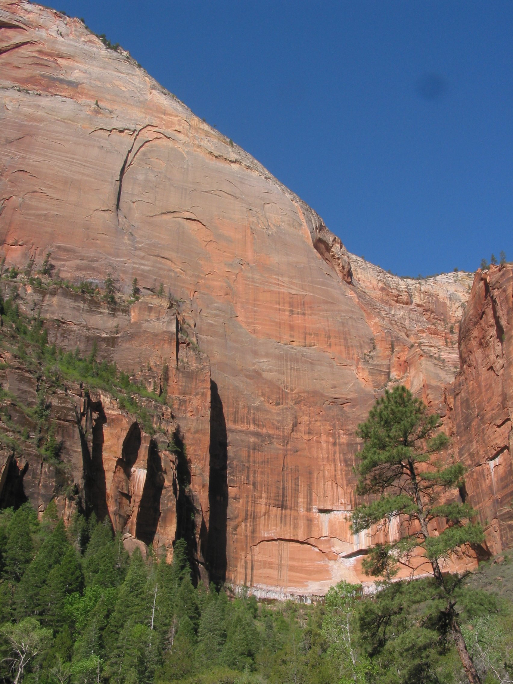 Zion rocks