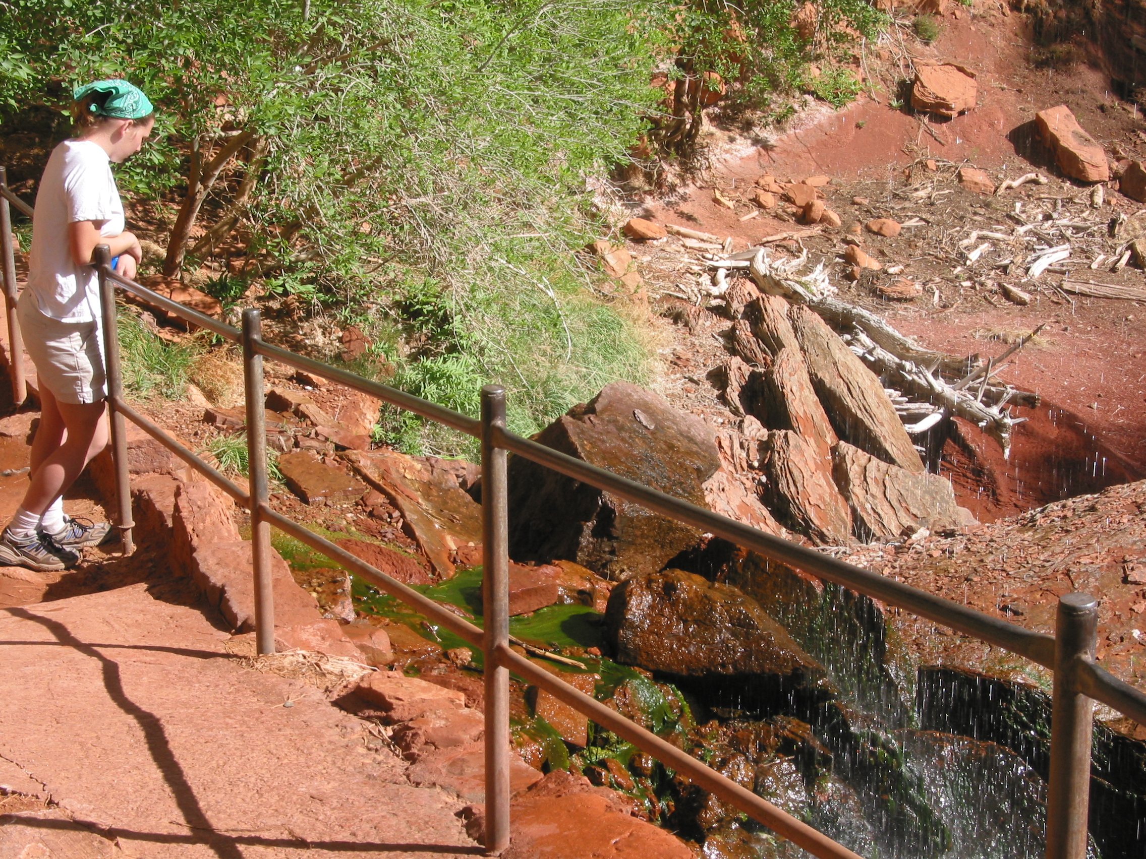 Ana at Zion