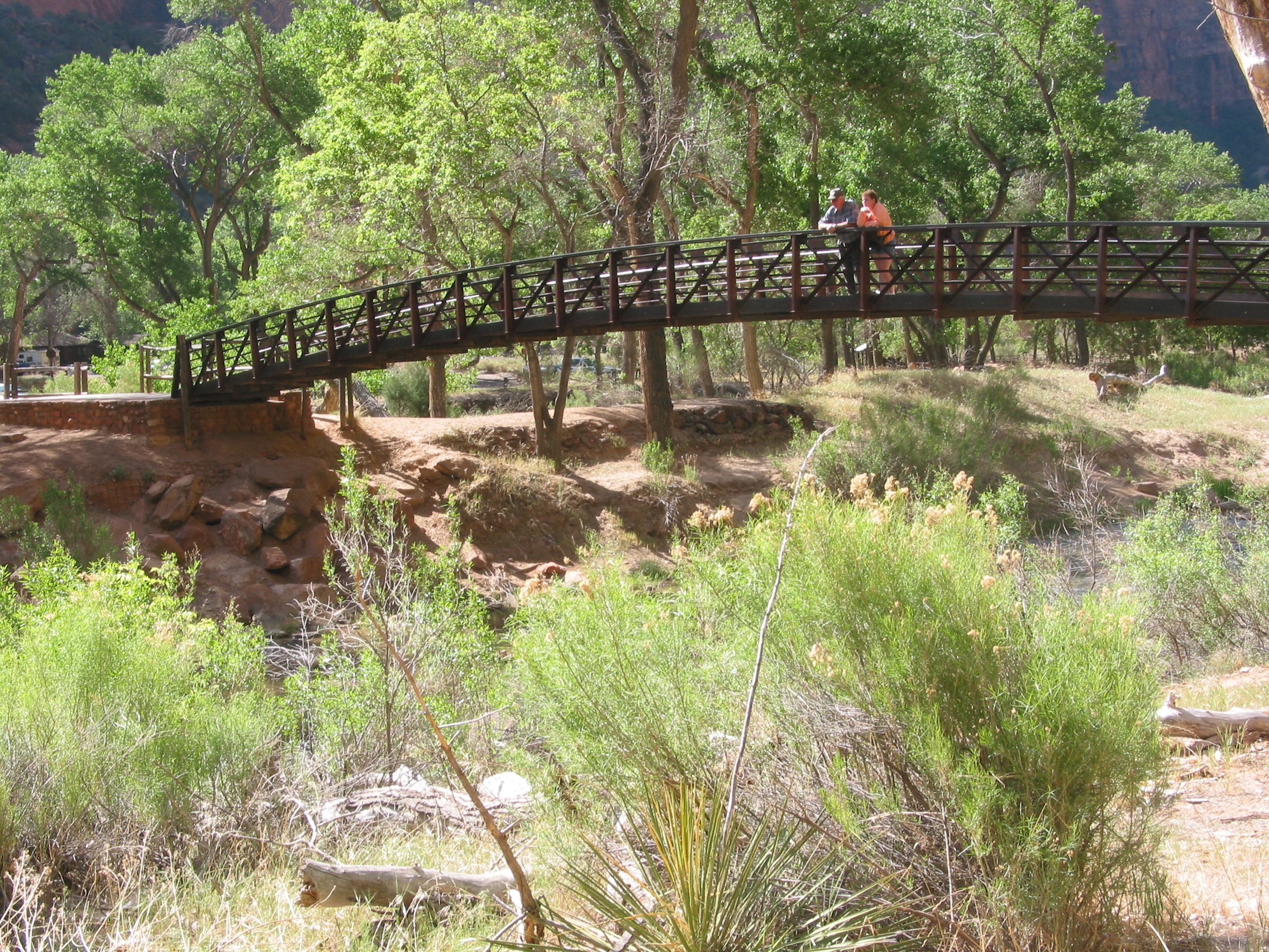 really cool bridge design at Zion NP