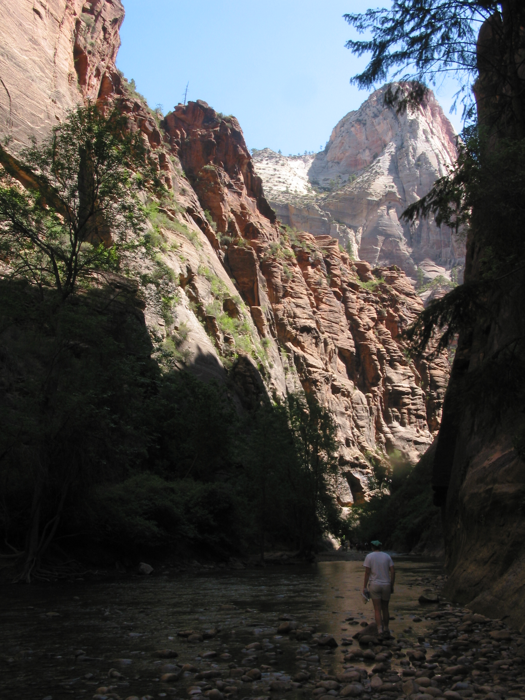 view up-canyon at Zion