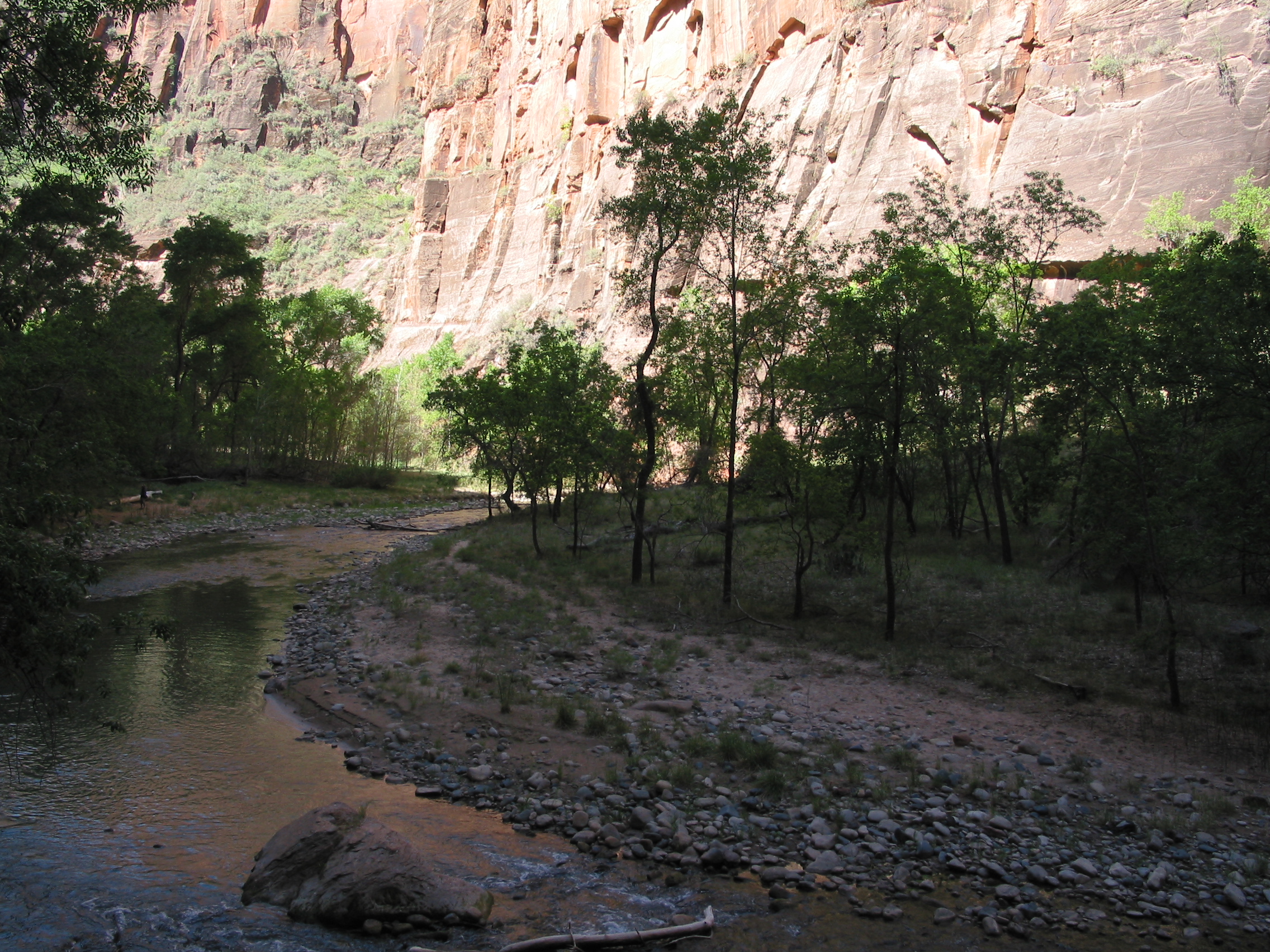 Zion canyon 