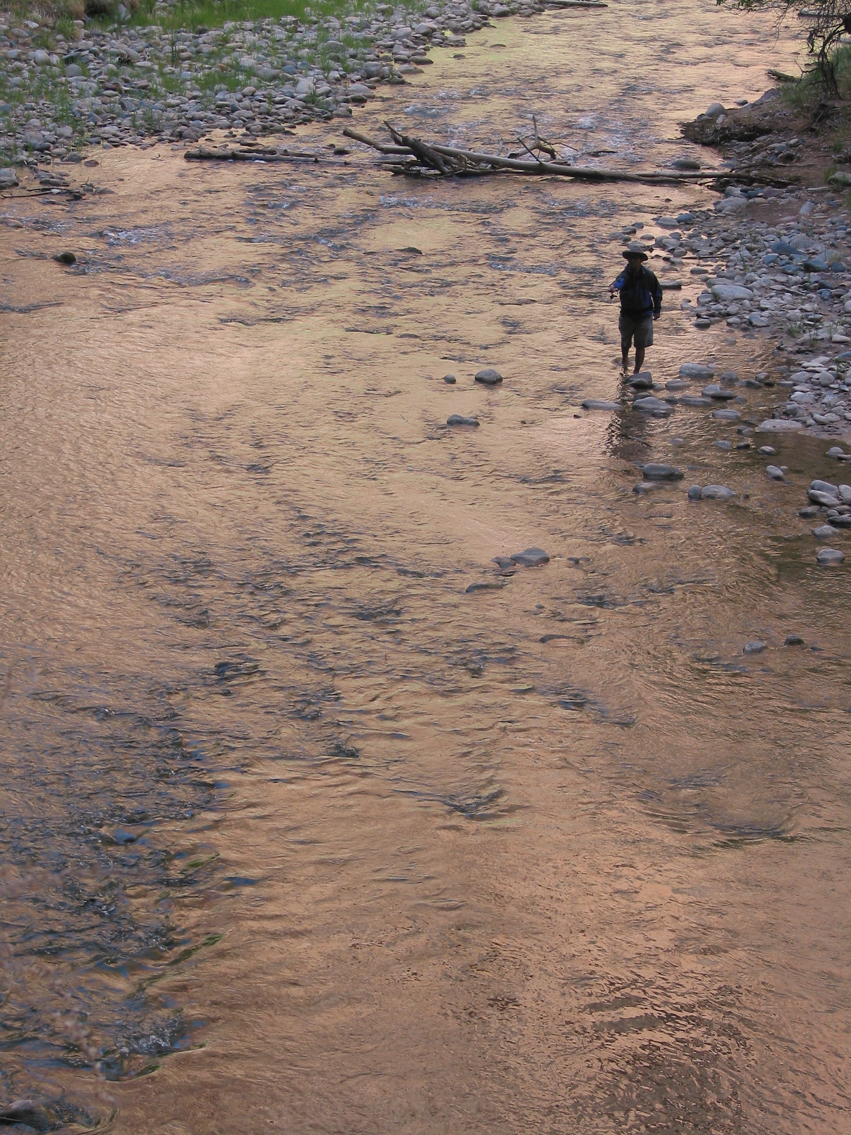 fly fishing in Zion NP