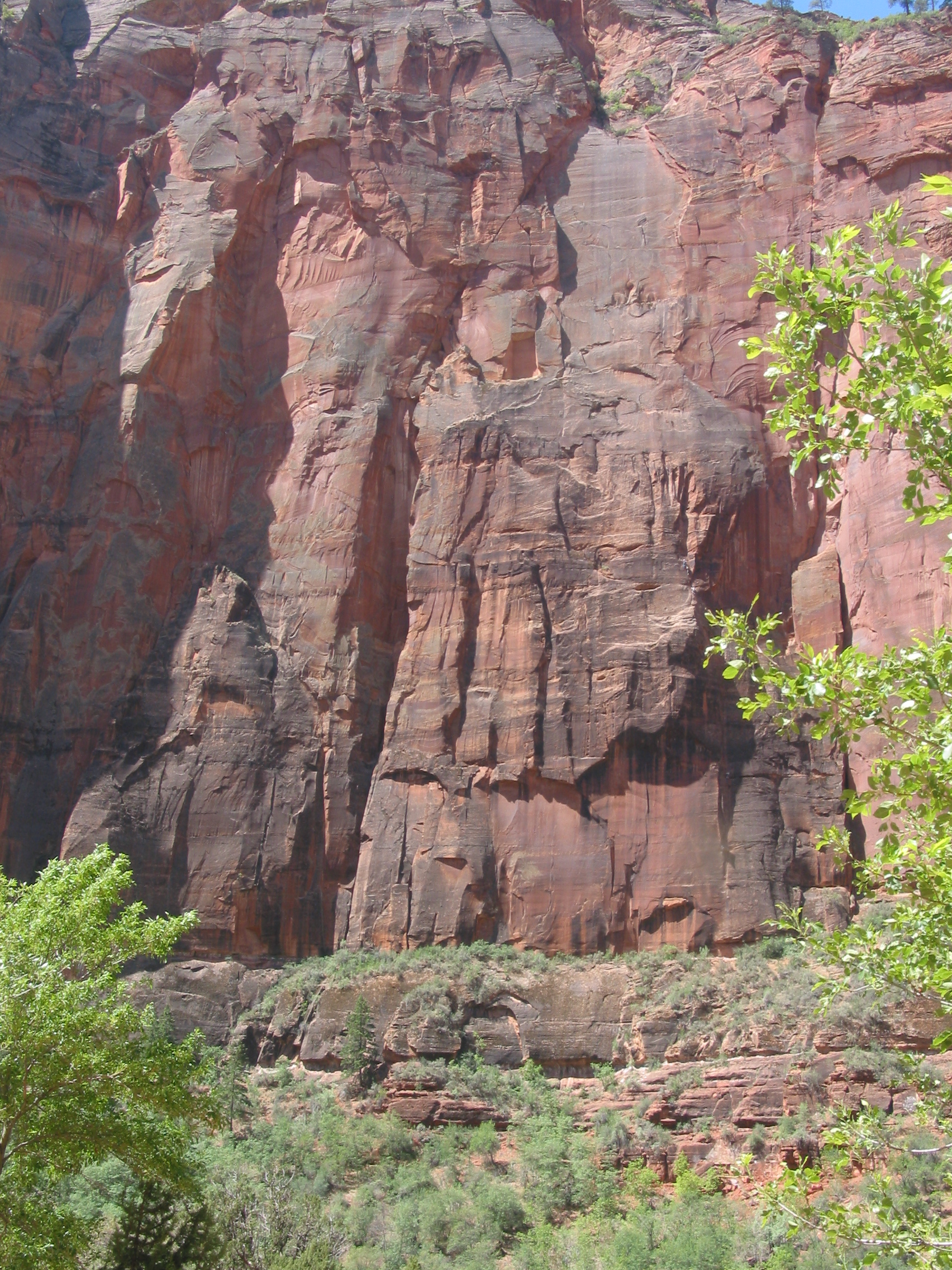 climbers on a multi-pitch multi-day route (look to the left of the rightmost tree leaves)