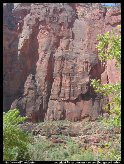 climbers on a multi-pitch multi-day route (look to the left of the rightmost tree leaves)