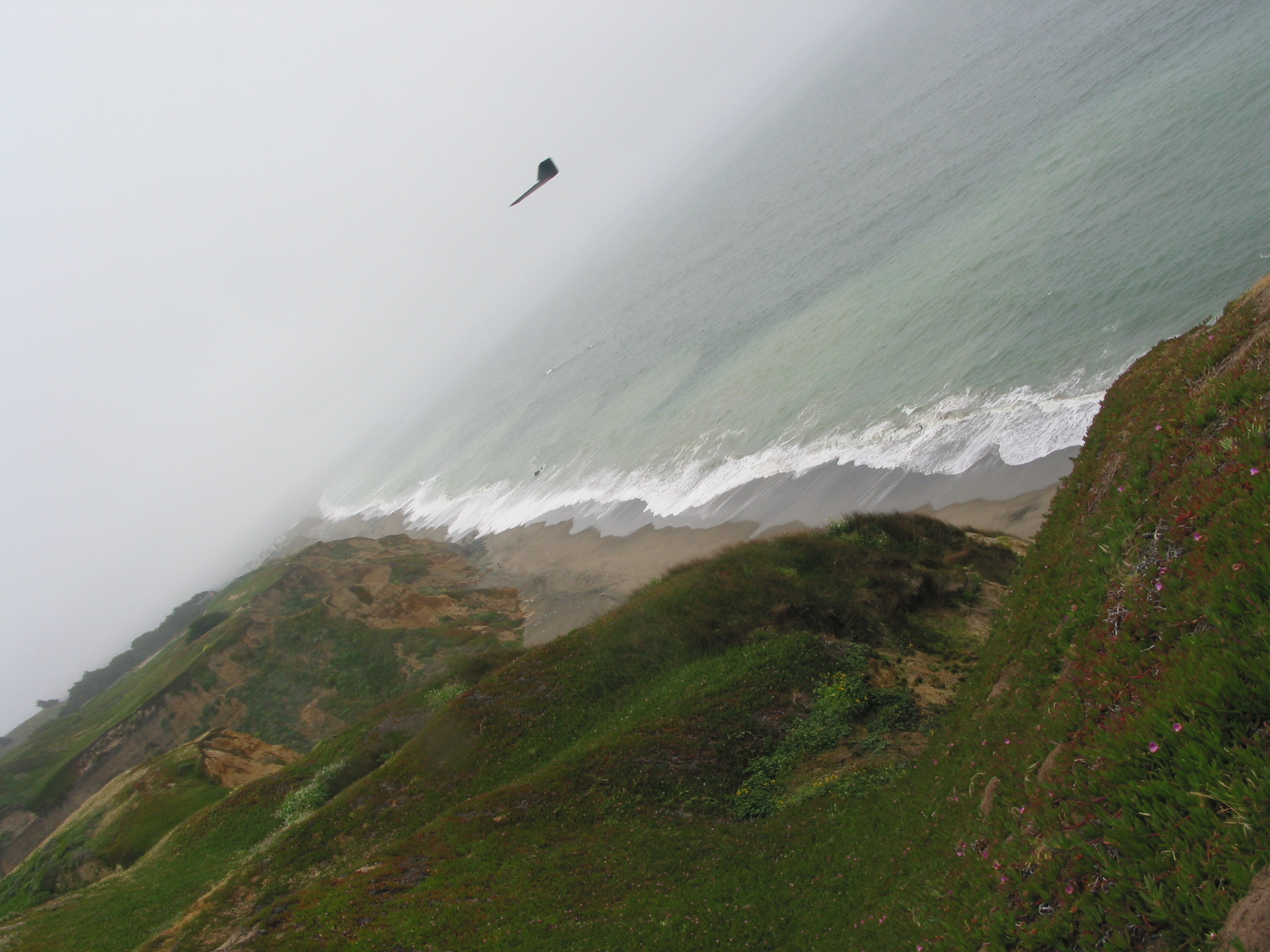 the Zagi THL w/out winglets down the beach (looking S)