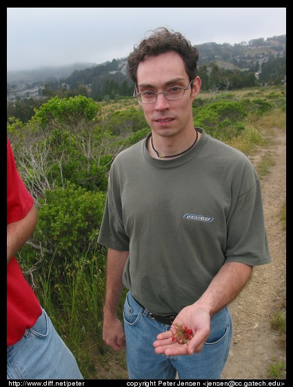 Nathan and his strawberries