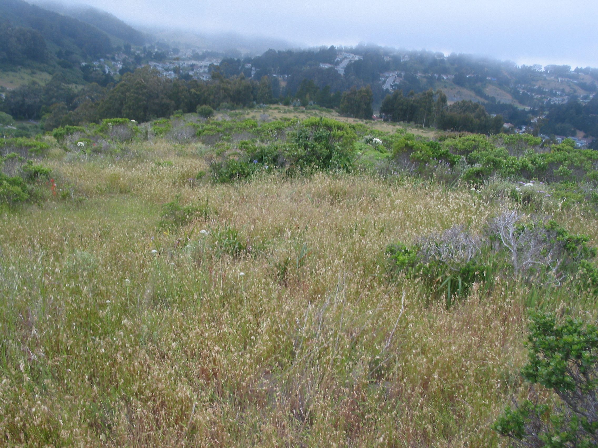 across the valley