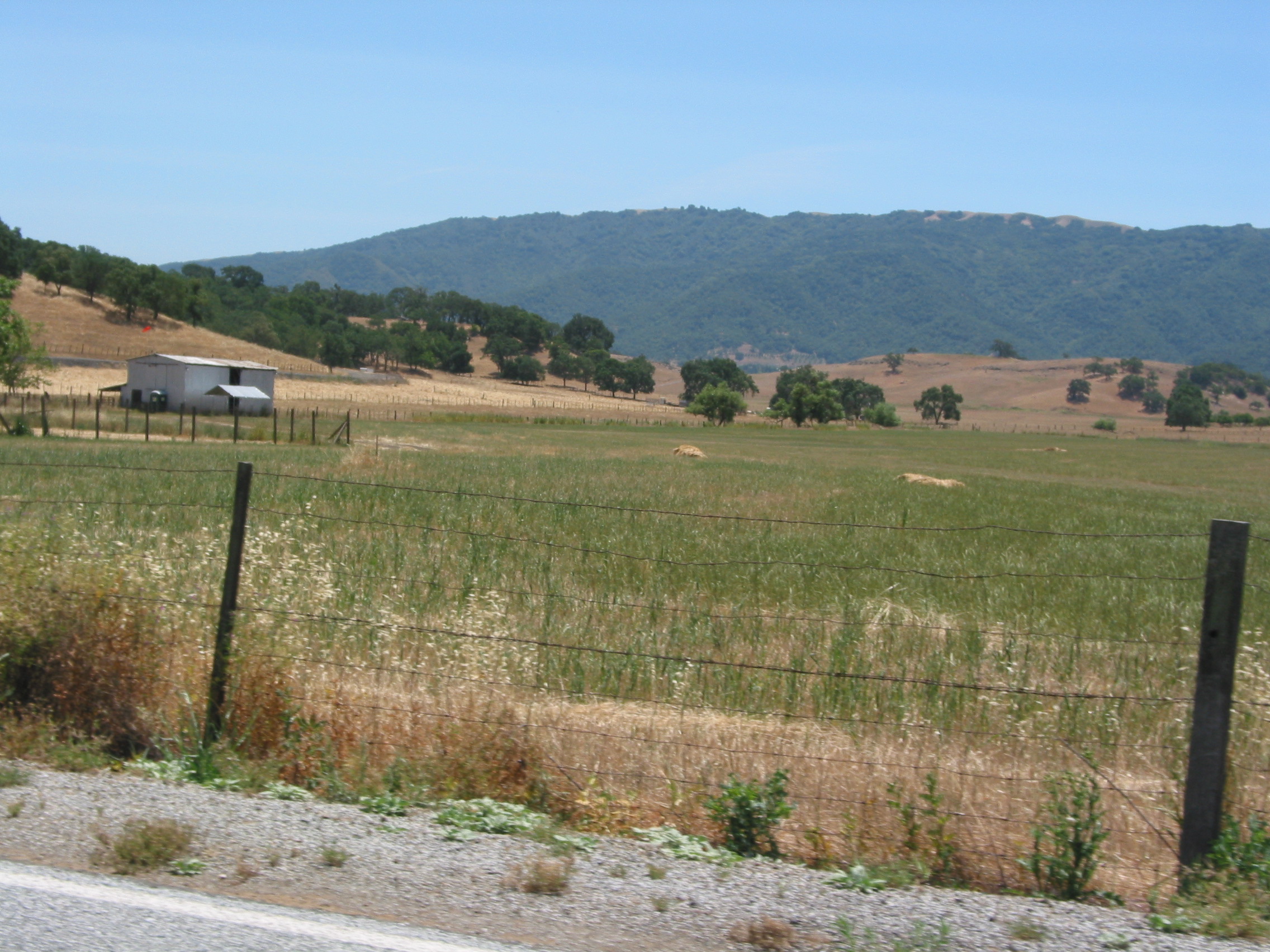 SBSS field viewed from the road