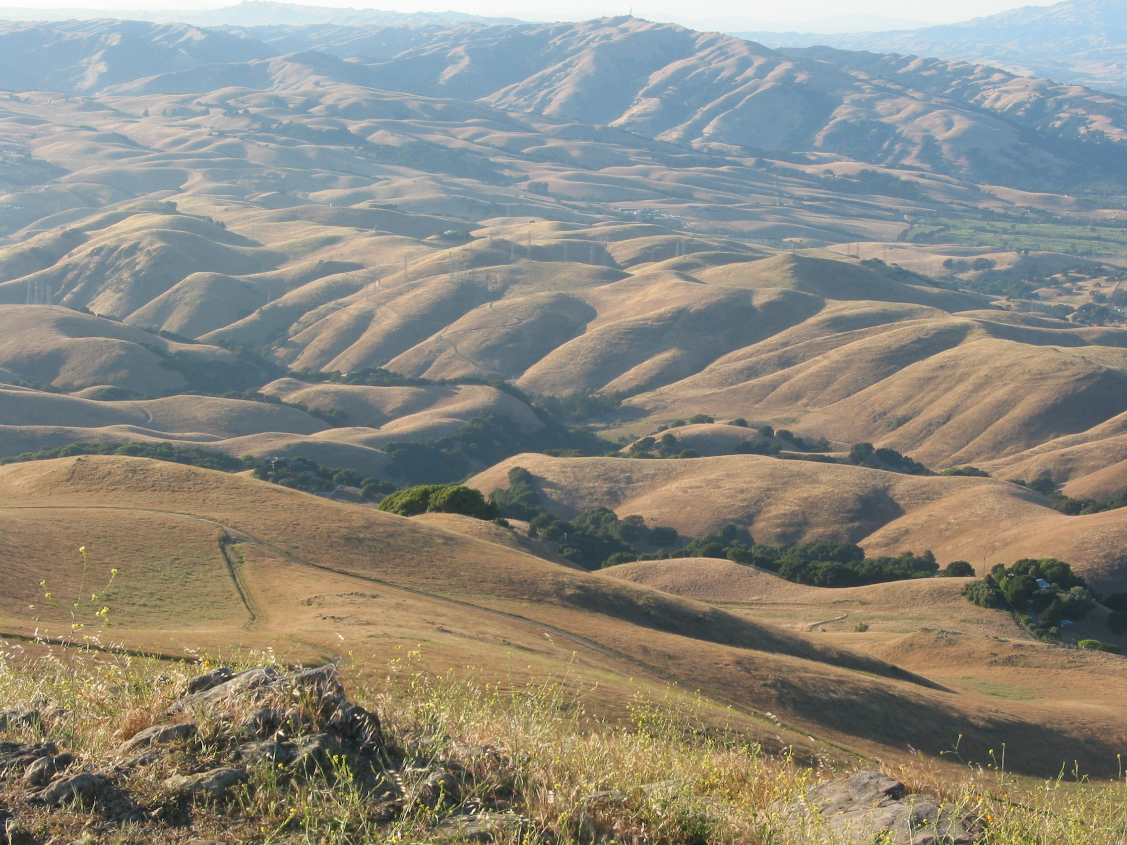 the hills to the northeast