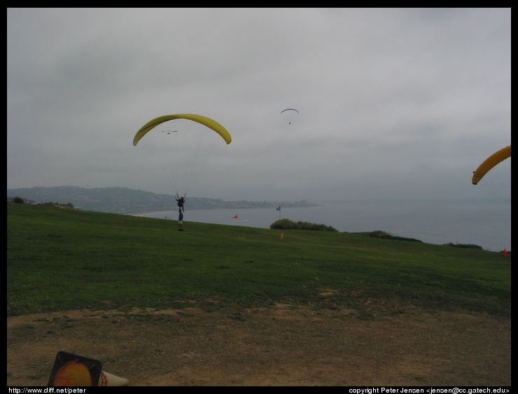 parasailers