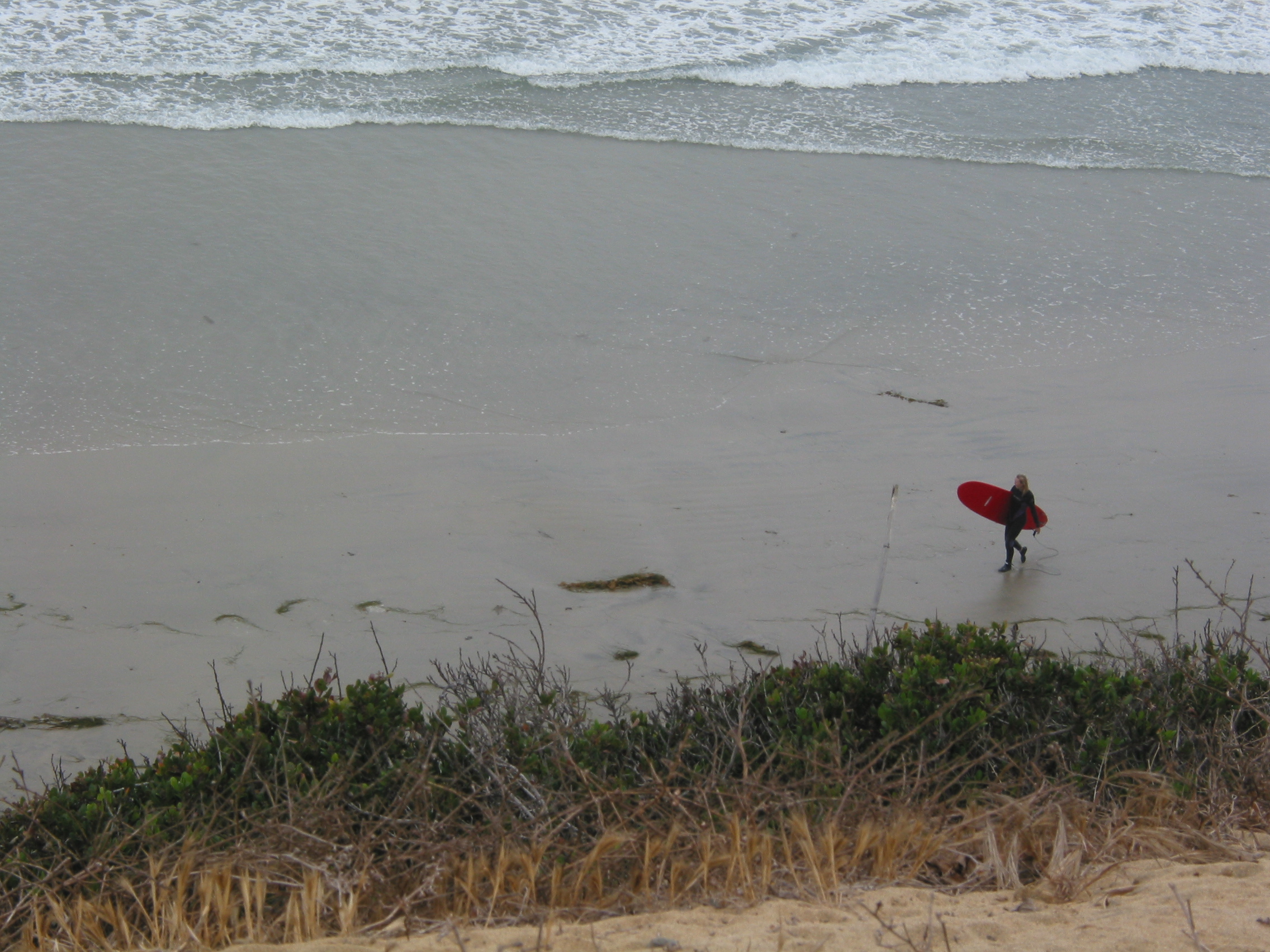 surfer on the beach