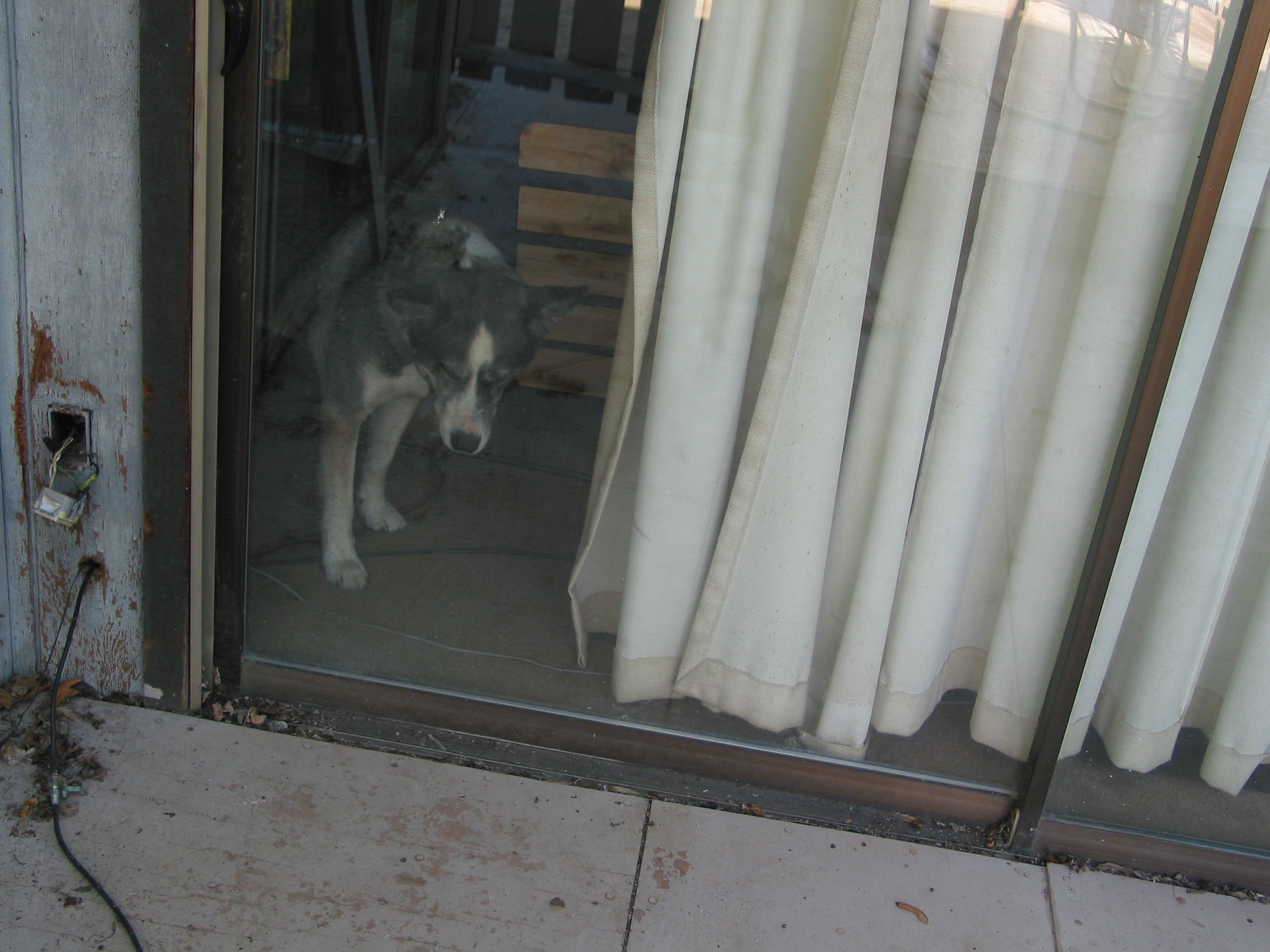 Sarai, wanting to come outside