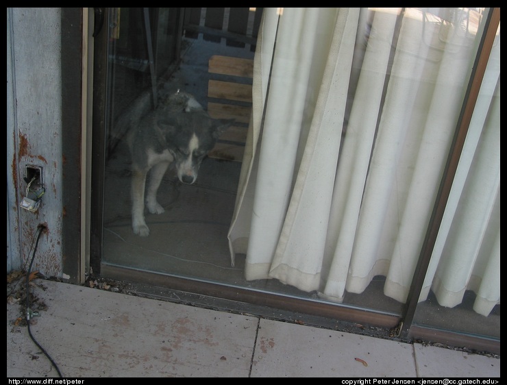 Sarai, wanting to come outside