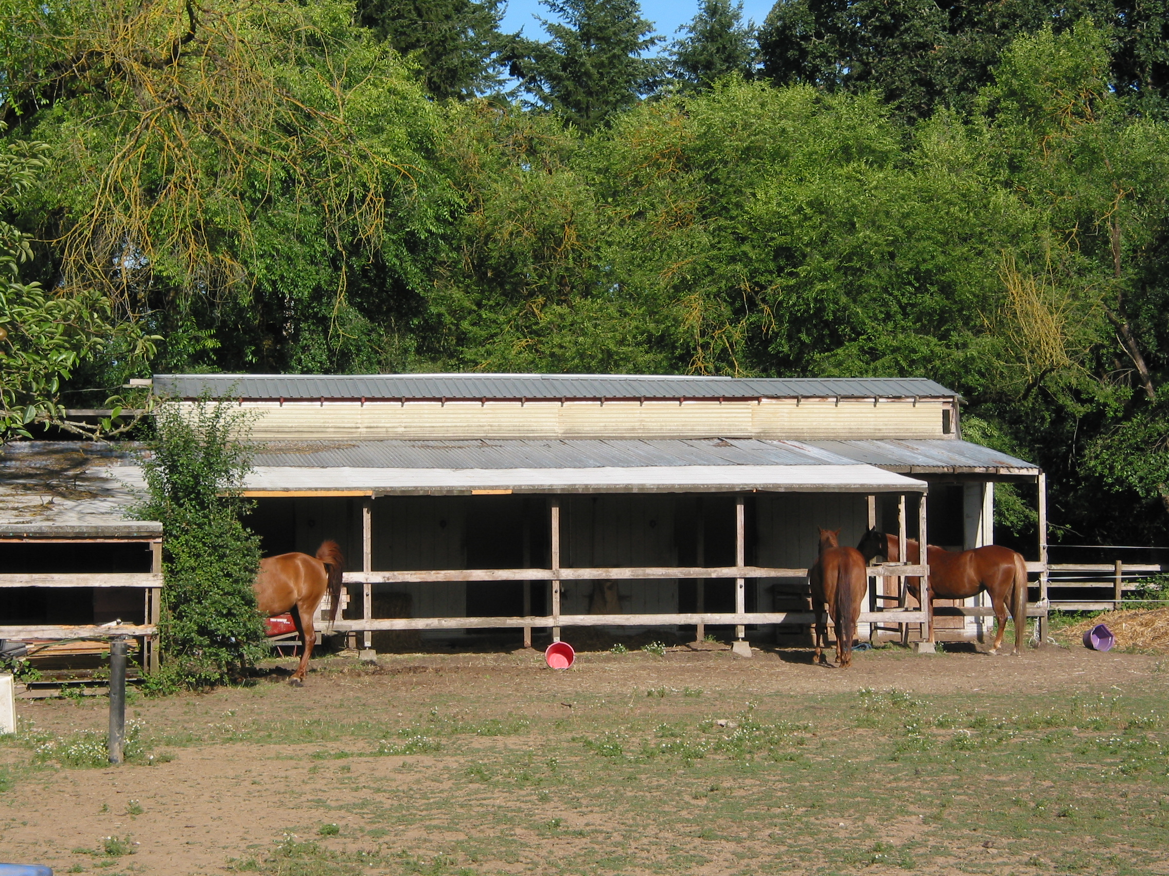 barn