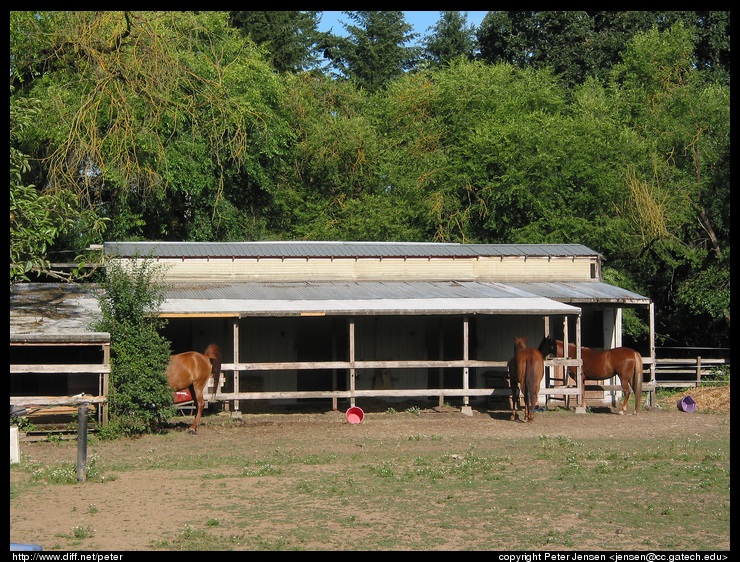 barn