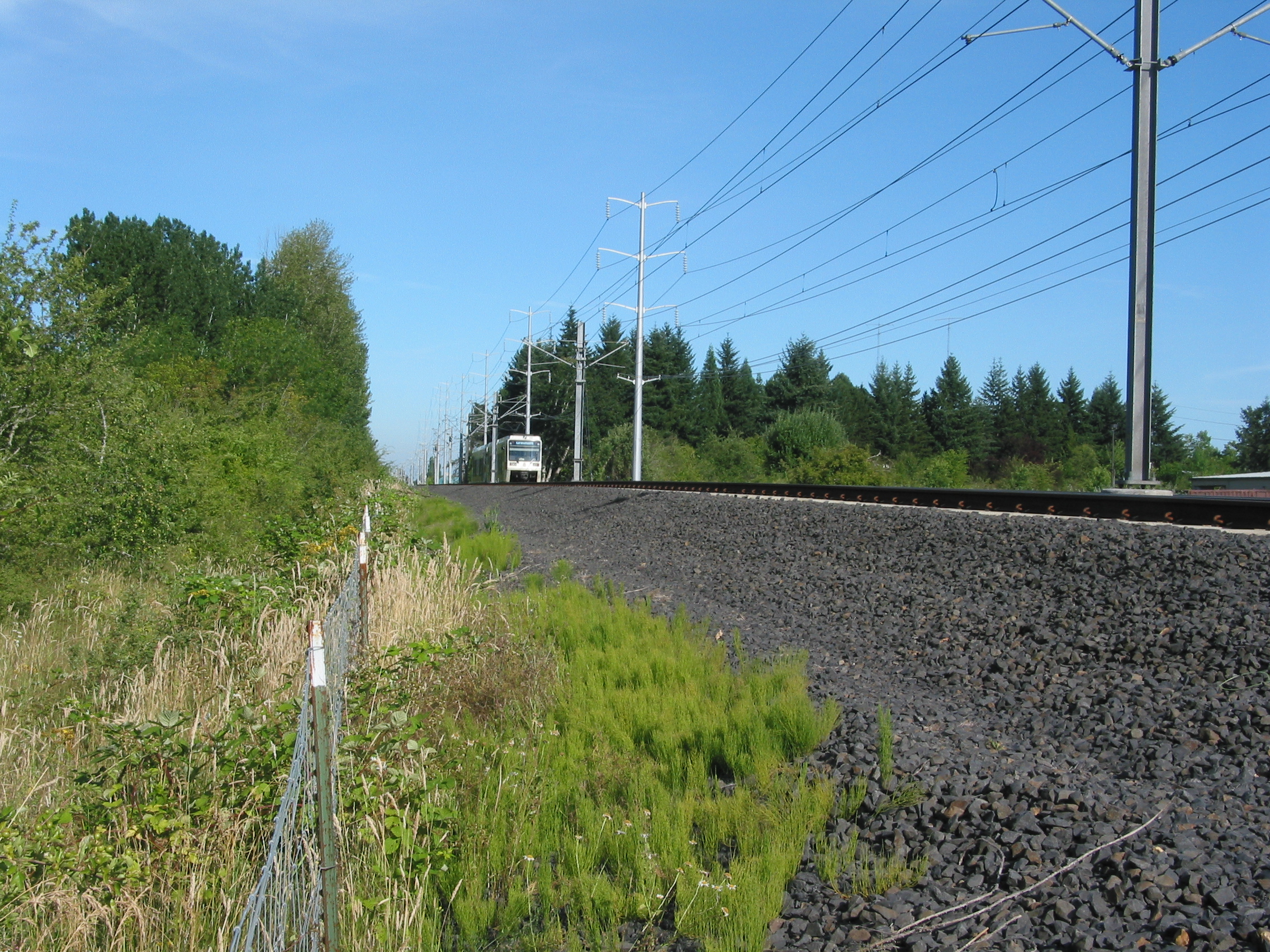 electric train behind the barn