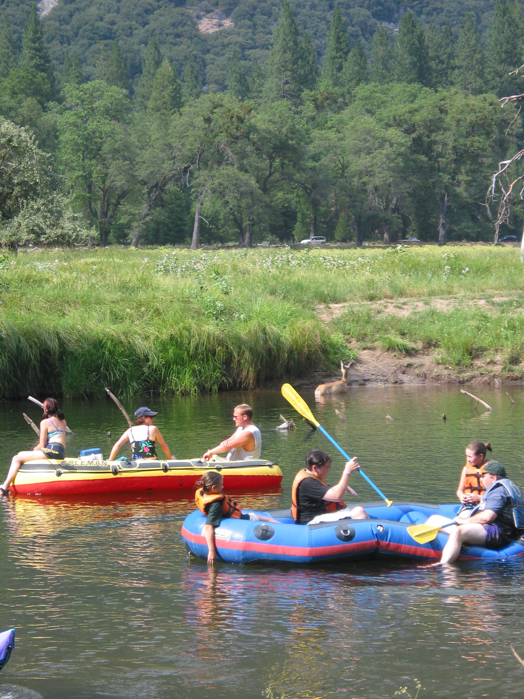 rafters