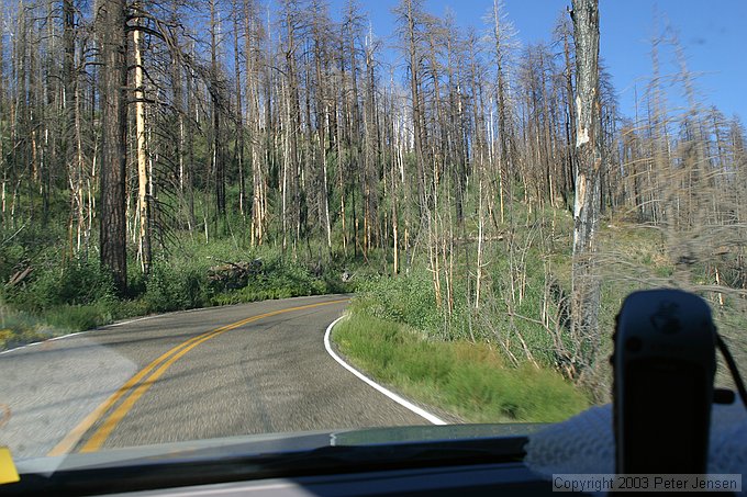 north rim Grand Canyon fire leftovers