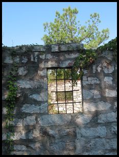 neat old windows