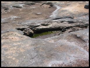 vernal pool