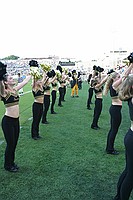 the Wake Forest cheerleaders were really good