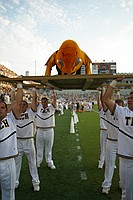 Buzz doing pushups