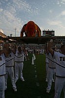 Buzz doing pushups