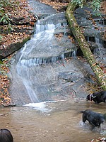 waterfall, mostly handheld