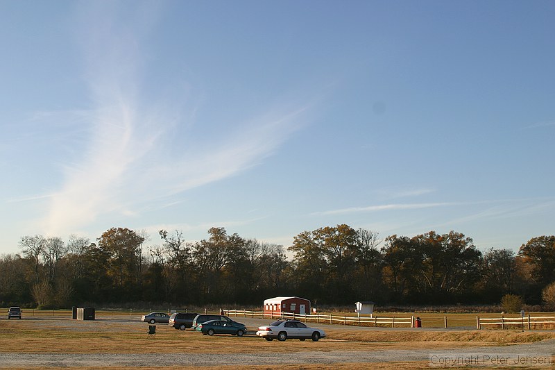 general River Green scene