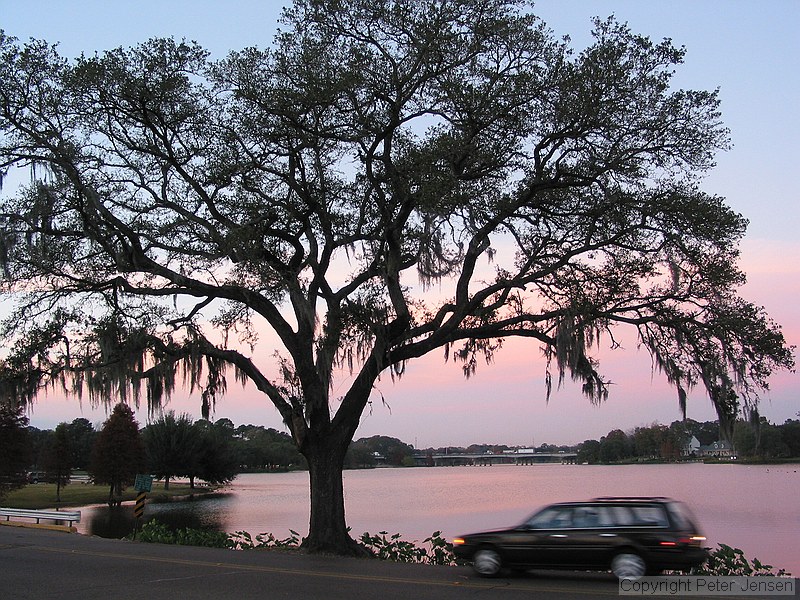 LSU lakes