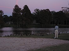 feeding the birds