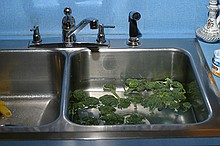 broccoli being washed in the sink