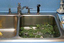 broccoli being washed in the sink